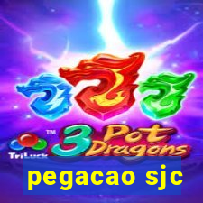 pegacao sjc